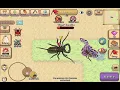Pocket ants-------vinegaroon