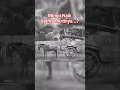 Download Lagu MIMPI NAIK DELMAN |ARTINYA| #shorts