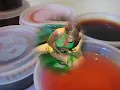 Weed and Jello - Trill City Militia