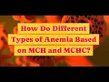 How Do Different Types of Anemia based on MCH and MCHC