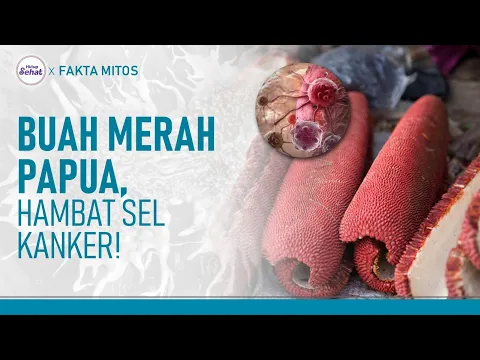 Segudang Manfaat Buah Merah Papua, Bantu Hambat Sel Kanker!