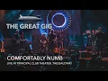 Download Lagu The Great Gig - Comfortably Numb (Live at Principal Club Theater)