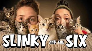 Our Little Home Got a Lot Bigger (The True Story of Slinky and the Six)