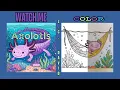 Adorabl Axolotls Coloring Siesta Hammock Coloring