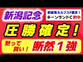 Download Lagu 新潟記念2025【圧勝確定！黙って買いの断然１強】考察合致でキーンランドC的中！