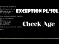 Exception Handling in Exception in PLSQL User Defined Exception in