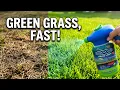 Does Hydro Mousse Liquid Lawn Grass Spray Work