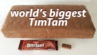 Download GIANT TIM TAM RECIPE by Ann Reardon How To Cook That ft Jessica Watson MP3