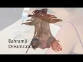 Bahramji  &  Maneesh de Moor  "Dreamcatcher" taken  from the Album  " Call of the Mystic"
