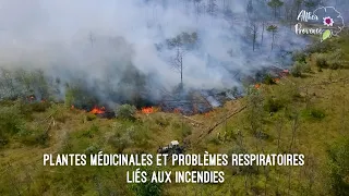 Plantes et problèmes respiratoires liés aux incendies