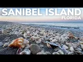 Exploring The Seashell Capital of the World 2 Days on Sanibel Island Florida
