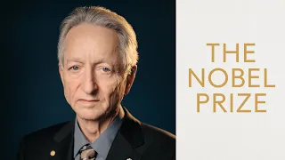 Geoffrey Hinton, Nobel Prize in Physics 2024: Official interview