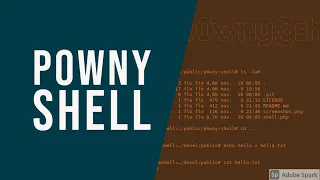 P0wny Shell Best PHP reverse shell