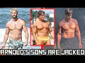 Both of Arnold Schwarzenegger s Sons are Bodybuilding