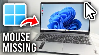 Fix Mouse, Cursor, Pointer Disappeared In Windows - Tutorial