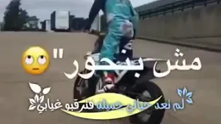 احنا جينا يلا بينا 