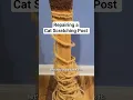 Giving This Scratching Post New Life