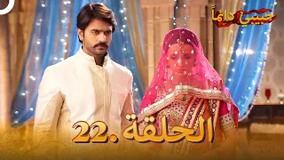 حبيبي دائما الحلقة 22 