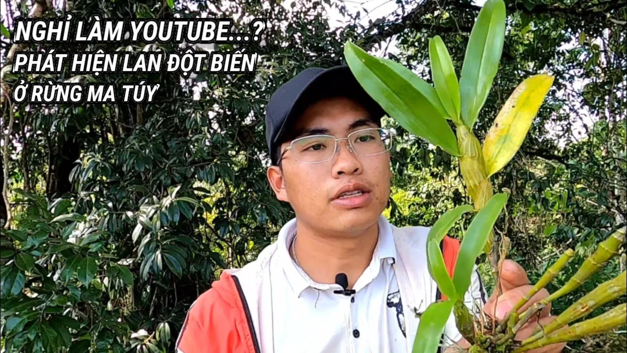 Nghỉ làm Youtube...Phát hiện lan đột Biến ở Rừng Ma Túy | HOA NẮNG VÙNG CAO.