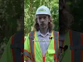 J Fletcher Creamer Son - Intern