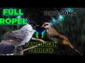 Download Lagu TRUCUKAN VS KUTILANG FULL GACOR
