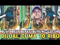 Lagu MURAH AMANAH || BURUNG PENTIS RAJA GACOR CUMA 70 RIBU KACER GACOR 350 RIBU DIKIOS MANTO PB PRAMUKA