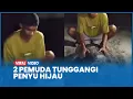 Download Lagu Viral Aksi 2 Pemuda Konyol Tunggangi Penyu Hijau di Pulau Derawan