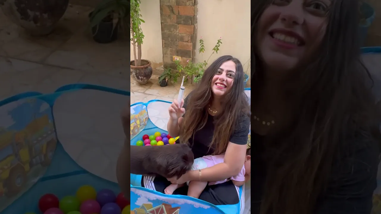تطعيم الكلب