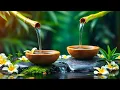 Download Lagu No Ads Relaxing Deep Sleep Music, Relieves Stress Music, Calming Music, Relaxing Music,Nature Sounds