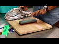 Download Lagu Tojiro Sharpening Training Video