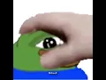pepe pet
