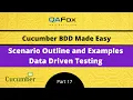 Scenario Outline and Examples - Data Driven Testing Cucumber BDD