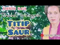 Download Lagu TITIP SAUR - DEDEH WININGSIH #kliningan #klininganklasik @Kangdedicosmo