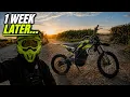 One Week With the Rippmaxx Force 17 Here s What It Can REALLY Do