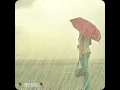 Download Lagu ⚘애인있어요  - 이은미 - (가사有)