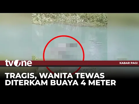 Wanita Tewas Diterkam Buaya Usai Petik Kangkung di Sungai