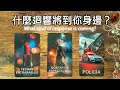 Download Lagu 這個迴響將迎來反轉！🚀#運勢#感情#事業#人際🎗️黑皮好思HappyHouse Tarot⭐能量顯化 #塔羅占卜#諮詢 #tarotreading