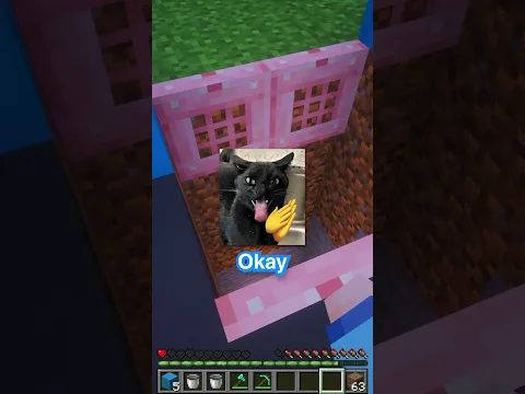 COMO HACER UNA PUERTA ANTI MOBS EN MC😼✅#minecraft