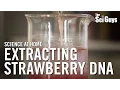 Download Lagu The Sci Guys: Science at Home - SE2 - EP15: Extracting Strawberry DNA