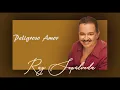 @RaySepulvedaoficial - Peligroso Amor (Audio Oficial)