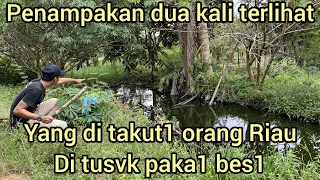 Download PENANGKAP4N DUA SEKALIGUS DALAM WAKTU YANG DEKAT BIKIN WARGA TERHERAN-HERAN DENGAN ULAR PENGEJAR API MP3