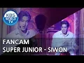 Download Lagu [FOCUSED]SUPER JUNIOR's SiWon - Feeling [Music Bank / 2018.04.13]