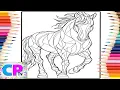 Horse of Colorful is my