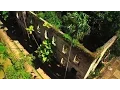 Barbados Vacations