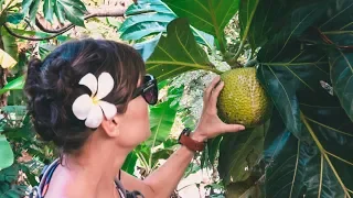 Our FIRST TASTE of Land || A Walkabout Hiva Oa, French Polynesia