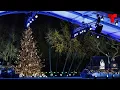 Trump y Melania participan en el encendido del Arbol Nacional de Navidad