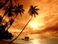 Download Lagu Surah Al Shams Mishary Alafasy