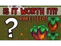 MEGA RARE SEED FARM - Stardew Valley