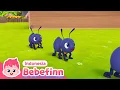 Semut Kecil | Lagu Anak | Bebefinn Bahasa Indonesia