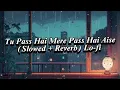 Download Lagu Tu Pass Hai Mere Pass Hai Aise (Slowed + Reverb) Lo-fi